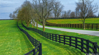 Black fence grassy field road 2 - david inshaw free wallpaper