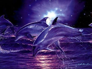 Dolphins jumping water night stars - two dolphin free wallpaper