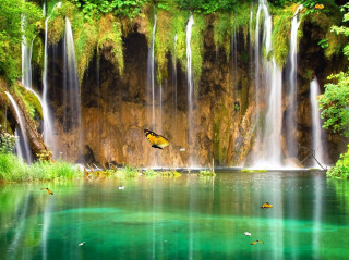 Waterfall butterfly lake green trees - a lake below free wallpaper