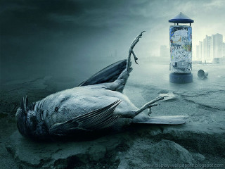 Dead bird streetlight trashcan city - dead free wallpaper for desktop