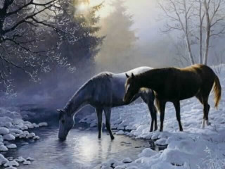 Horses drinking water stream snow - ground free wallpaper