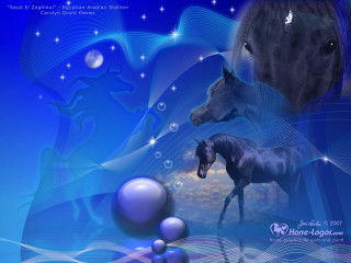Horses blue background bubbles stars - bubble free wallpaper for desktop