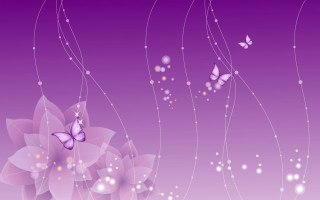 Purple background butterflies flowers white - butterfly free wallpaper
