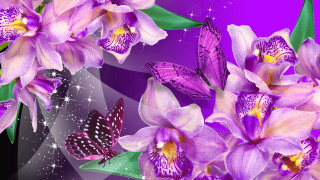 Purple flower butterflies background stars - butterfly free wallpaper for desktop