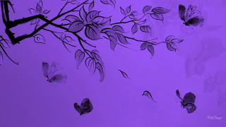 Purple background butterflies tree branch - butterfly free wallpaper
