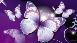 Purple background butterflies flying star 2 - a purple background free wallpaper