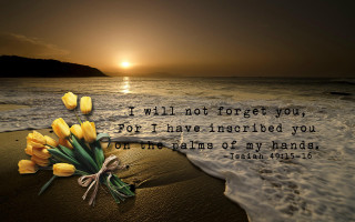 Flowers beach ocean quote sandy - sandy free wallpaper