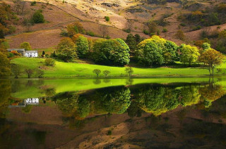 Lake surrounded lush green hillside - the shore free wallpaper