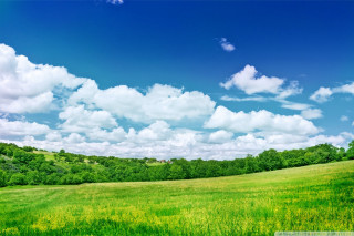 Field sky clouds trees green - cloud and trees free wallpaper