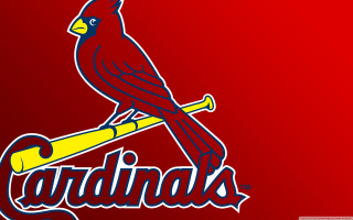 Baseball logo bird bat image - bottom free wallpaper