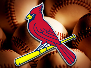 Baseball cardinal bat closeup image - daren bader free wallpaper