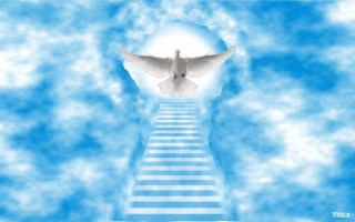 White dove stairway light sky - blue sky free wallpaper for desktop