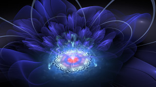 Blue flower red center glowing - sacred free wallpaper