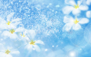 Blue background white flowers water - gradient light blue free wallpaper for desktop