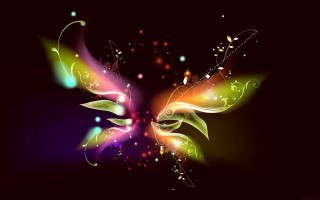Colorful butterfly black background wings - a colorful butterfly free wallpaper