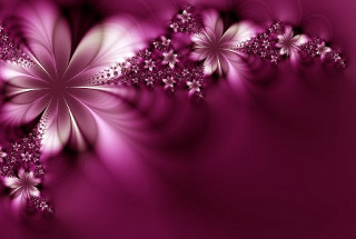 Purple background flowers side white 3 - a white flower free wallpaper