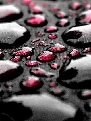 Black red background water drops - a close up free wallpaper for mobile
