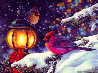 Snowy branch birds christmas lantern - two bird free wallpaper