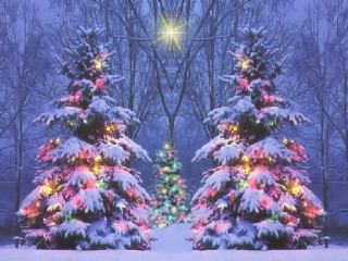 Christmas trees lit snow stars - free winter wallpaper