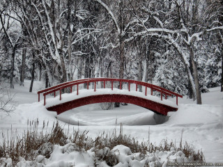 Red bridge snowy park pond - alexander johnston free wallpaper