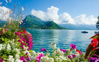Boat lake flowers mountain blue - florence engelbach free wallpaper