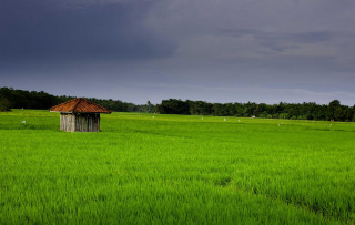 Small hut green field cloudy - a green field under a cloudy sky free wallpaper