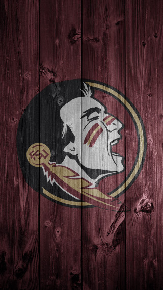 Wooden fence florida state logo - free neon wallpaper