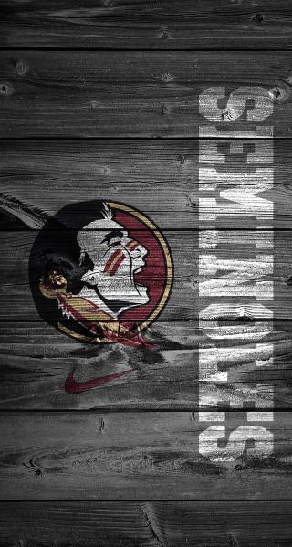 Wooden wall florida logo football - the other side free wallpaper for mobile