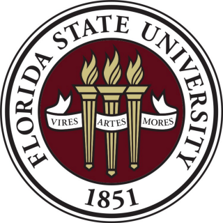 Florida state university seal flames - flame free wallpaper for tablet
