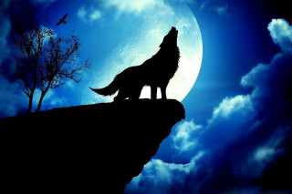 Wolf cliff moon plane tree - a wolf free wallpaper