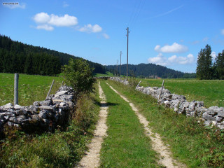 Dirt road stone wall field - both side free wallpaper