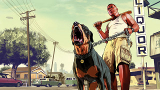 Man dog baseball bat city - a leash free wallpaper