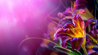 Flower magic realism airbrush bokeh - evelyn de morgan free wallpaper