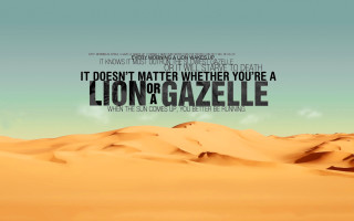 Desert lion quote cloudy sky - a desert free wallpaper