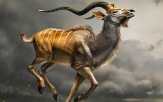 Ram running grass cloudy sky - weta digital free wallpaper for desktop