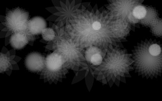 Black white flowers black background - earnst haeckel free wallpaper
