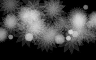 Black white flower arrangement mandelbrot - free new year wallpaper for desktop