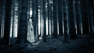 Woman white dress forest trees 5 - the background and sunlight free wallpaper
