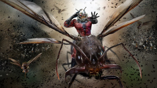 Man insect bird back head - weta digital free wallpaper