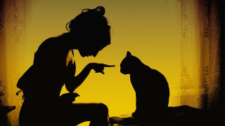 Woman pointing cat yellow background - a yellow background behind her free wallpaper