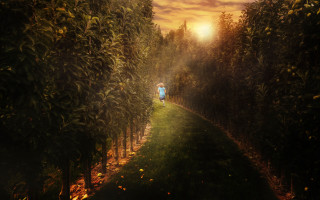 Person walking path trees sunset - photorealistic imagery free wallpaper