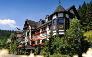 Large building flowers trees hill - a hill in the background free wallpaper for desktop