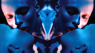 Woman blue makeup blue bird - a blue bird free wallpaper