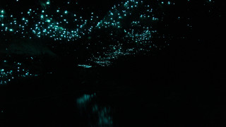 Dark room clock lights reflection - bruce munro free wallpaper