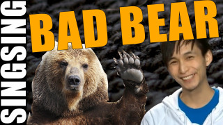 Bad bear man shiba inu - bad free wallpaper