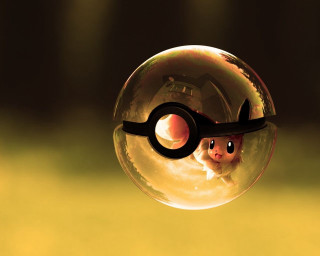 Bubble animal closeup handle image - the end free wallpaper for desktop