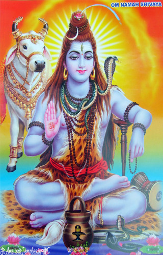 Person lotus cow sun peaceful - free sci-fi wallpaper