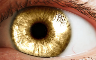 Gold iris black ring closeup - a close up of a persons eye free wallpaper