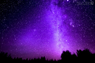Purple sky stars trees foreground - star and trees free wallpaper