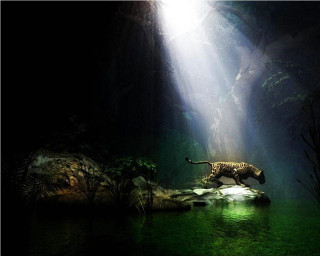 Tiger walking water light shining - volumetric free wallpaper